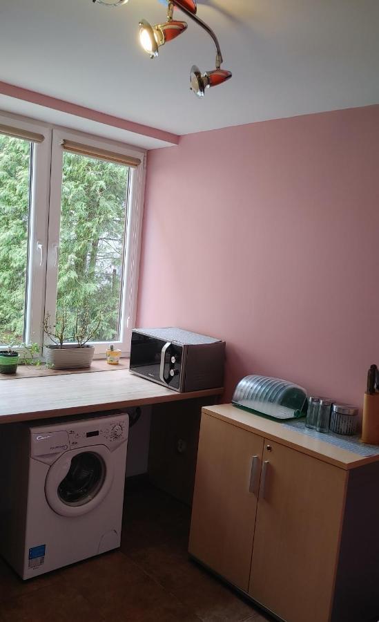 Hostel U Misiow Suwałki エクステリア 写真